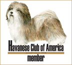 HCAmemberlogo4web