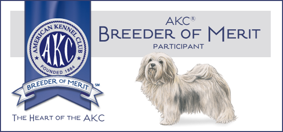 Havanese_BoM_Banner