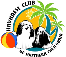 Havanese club